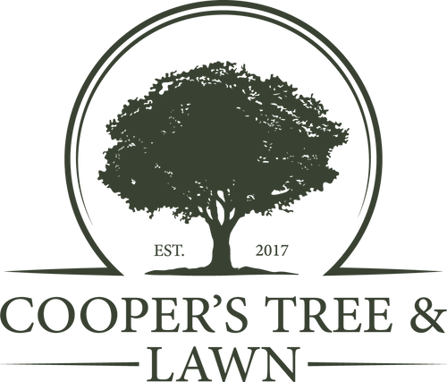Coopers Tree and Lawn
