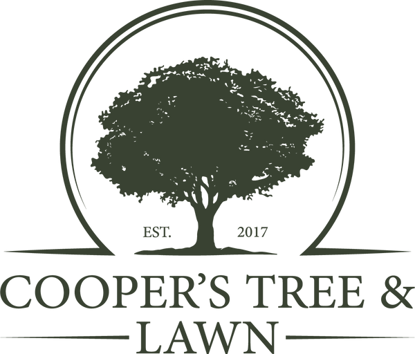 Coopers Tree and Lawn